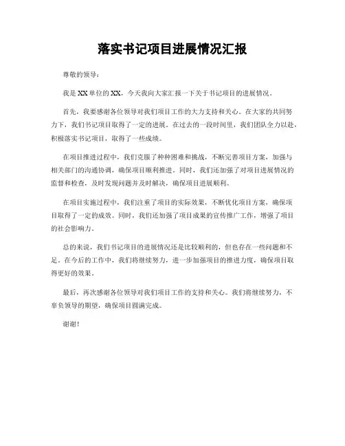 落实书记项目进展情况汇报