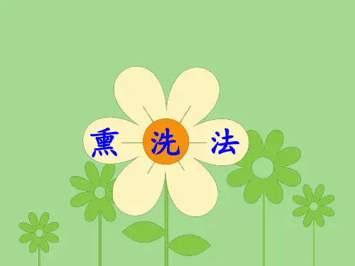 《熏洗法》ppt课件