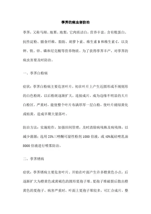荸荠的病虫害防治