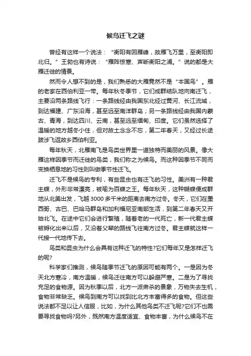 候鸟迁飞之谜