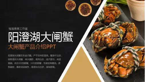 大闸蟹产品介绍PPT
