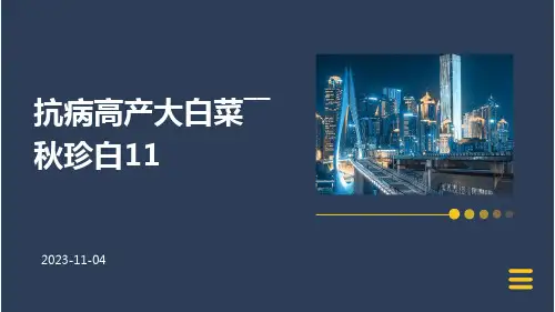抗病高产大白菜――秋珍白11