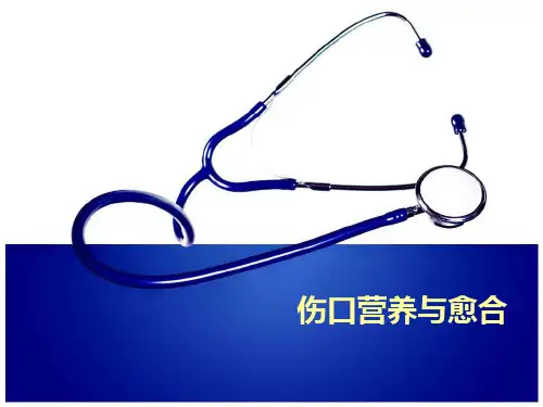伤口湿性愈合理论及临床应用1PPT课件