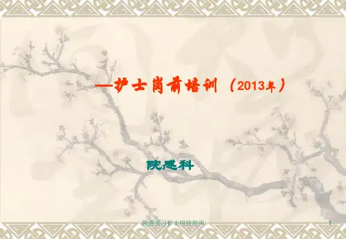 院感实习护士岗前培训PPT课件