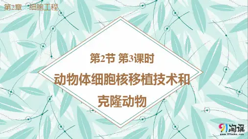 课件1：2.2.3 动物体细胞核移植技术和克隆动物