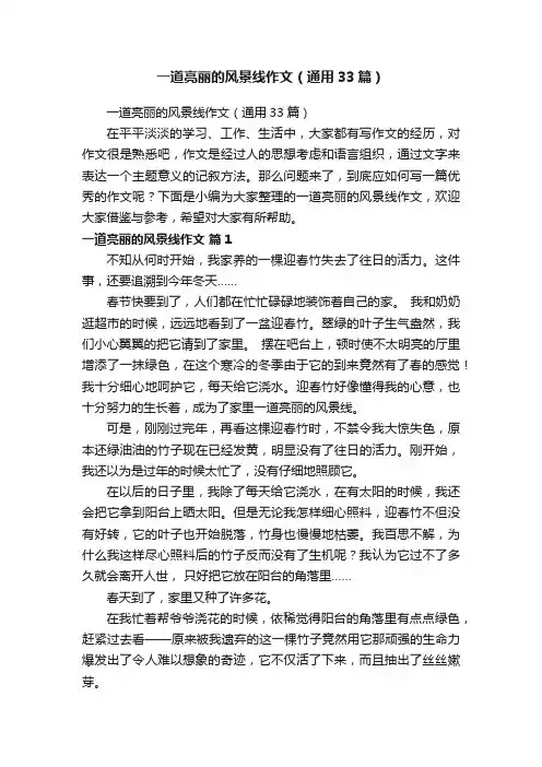 一道亮丽的风景线作文（通用33篇）