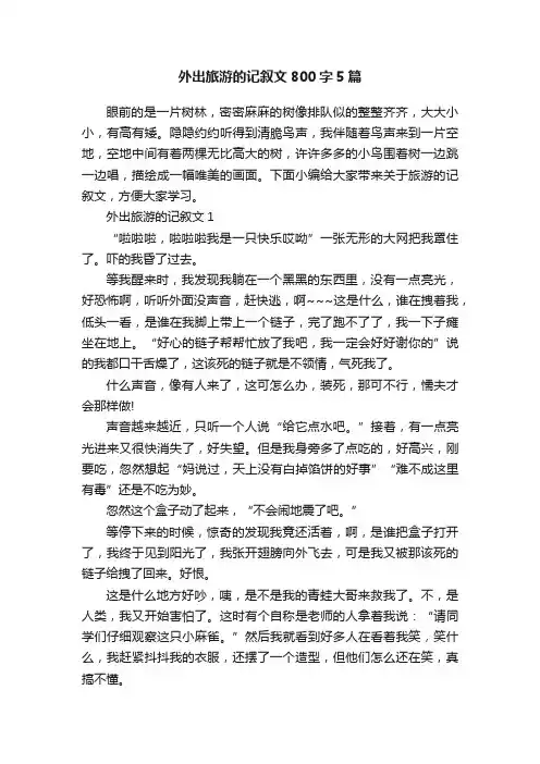 外出旅游的记叙文800字5篇