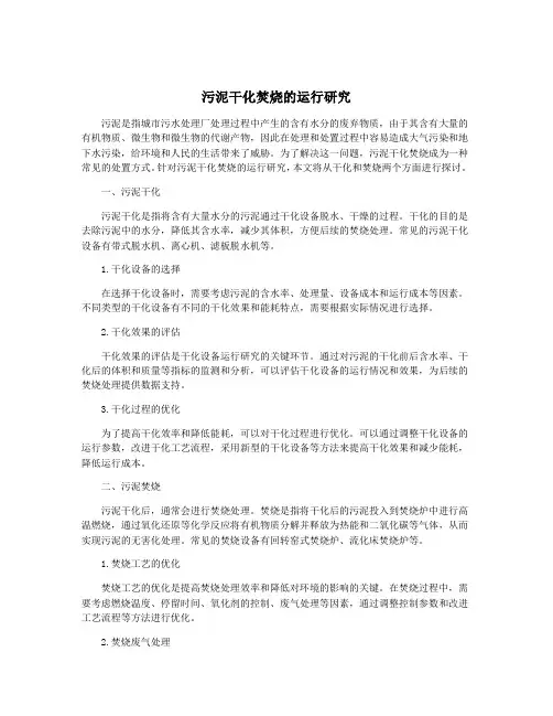 污泥干化焚烧的运行研究