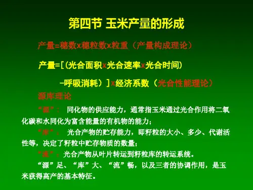 玉米的生物学基础玉米产量和品质的形成