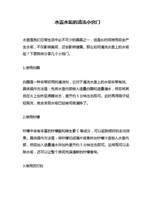 水壶水垢的清洗小窍门