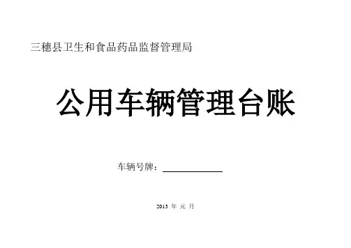 卫生局公用车辆管理台账(模板)