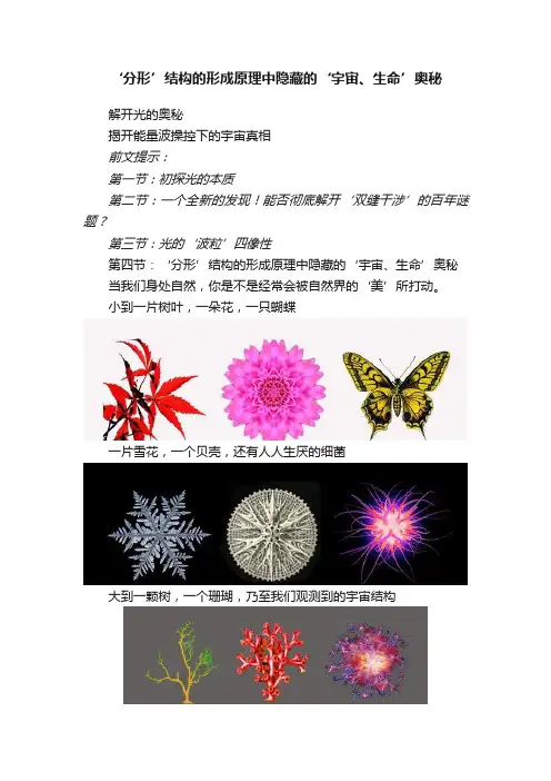 ‘分形’结构的形成原理中隐藏的‘宇宙、生命’奥秘