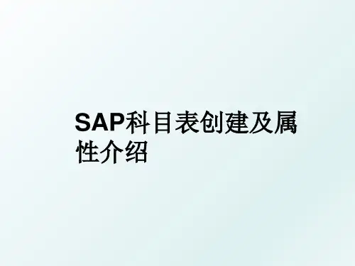 SAP科目表创建及属性介绍