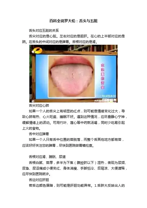 百科全说罗大伦：舌头与五脏