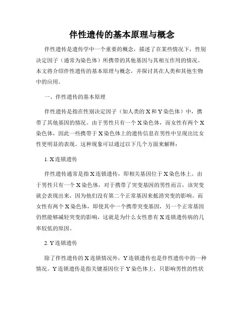 伴性遗传的基本原理与概念