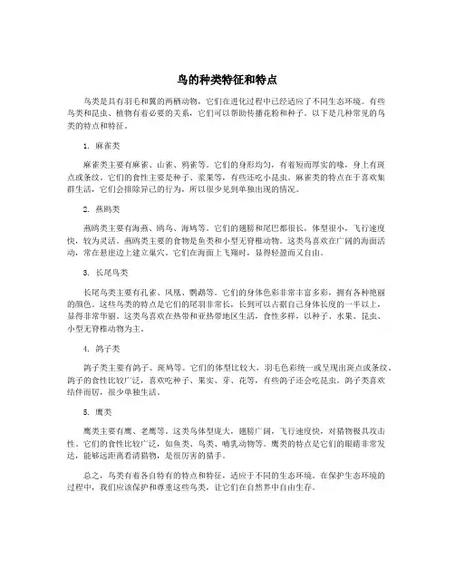 鸟的种类特征和特点