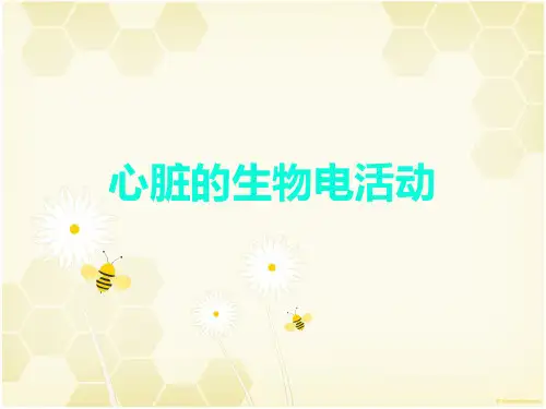 心脏的生物电活动