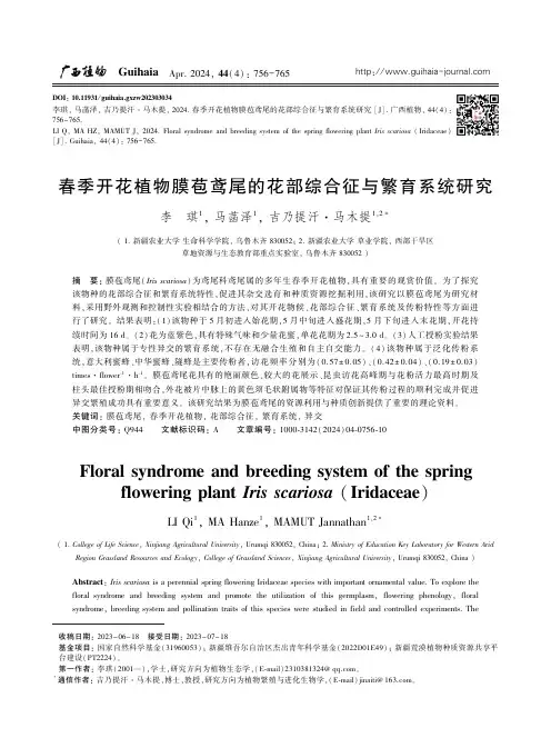 春季开花植物膜苞鸢尾的花部综合征与繁育系统研究