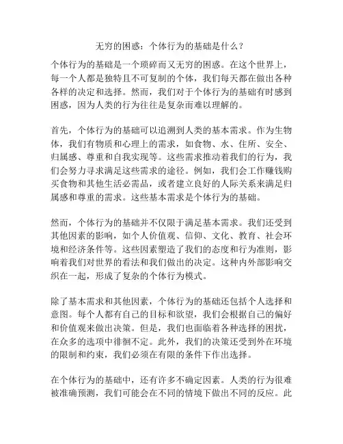 无穷的困惑：个体行为的基础是什么？