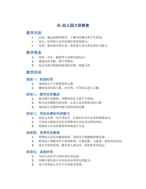 《风》幼儿园大班教案