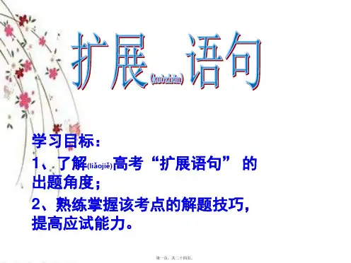 2019高三语文复习扩展语句(共24张PPT)