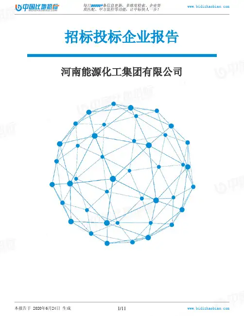 河南能源化工集团有限公司-招投标数据分析报告