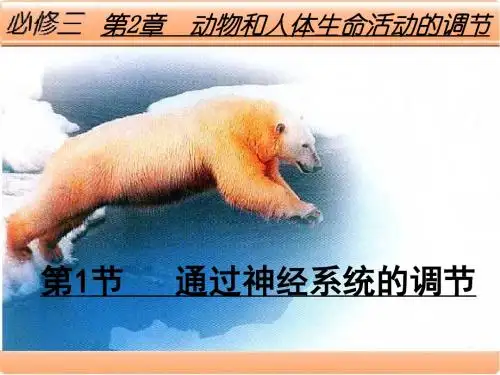 《通过神经系统的调节》