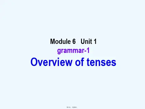 湖南师大 高中英语 M6 U1 grammar 1精品课件 牛津版选修6