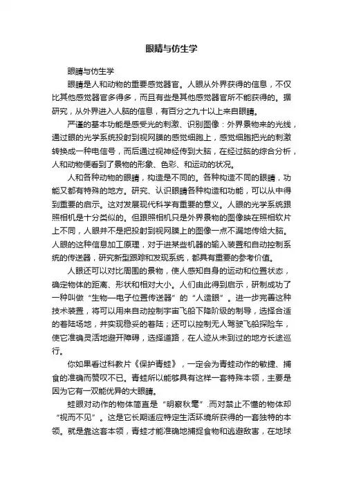 眼睛与仿生学