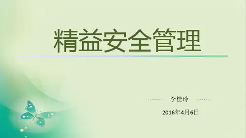 精益安全管理