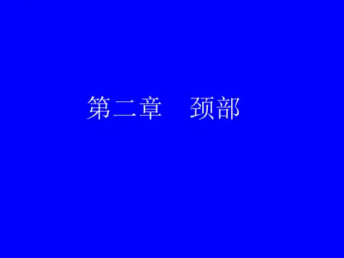 医学影像-颈部影像解剖