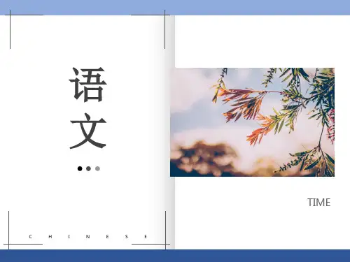 李健吾《雨中登泰山》(课件PPT;49页)