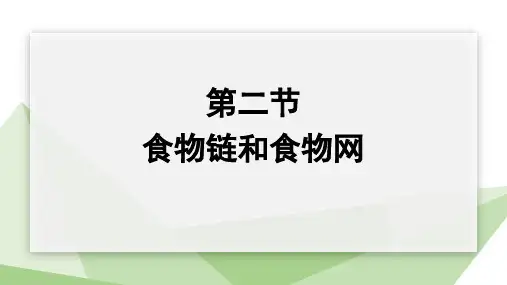7.2.2+食物链和食物网+课件-2023-2024学年冀少版生物八年级下册