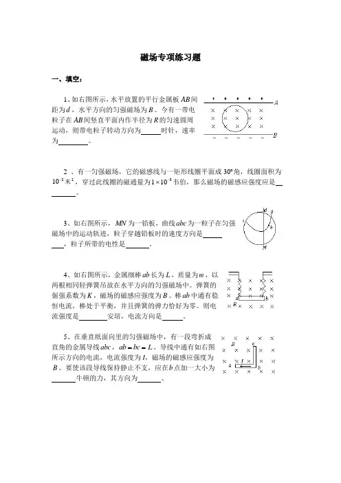 磁场专项练习题.doc
