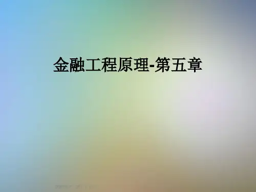 金融工程原理-第五章