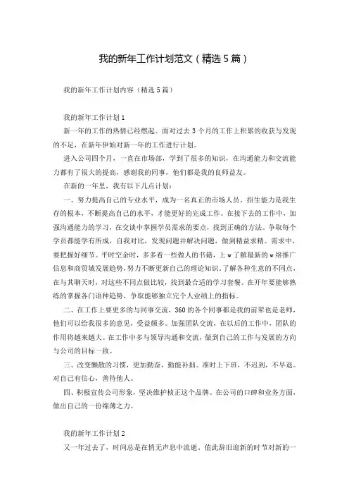 我的新年工作计划范文(精选5篇)