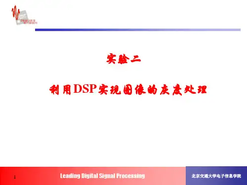 实验二 利用DSP实现图像的灰度处理