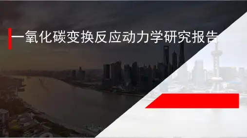 一氧化碳变换动力学研究