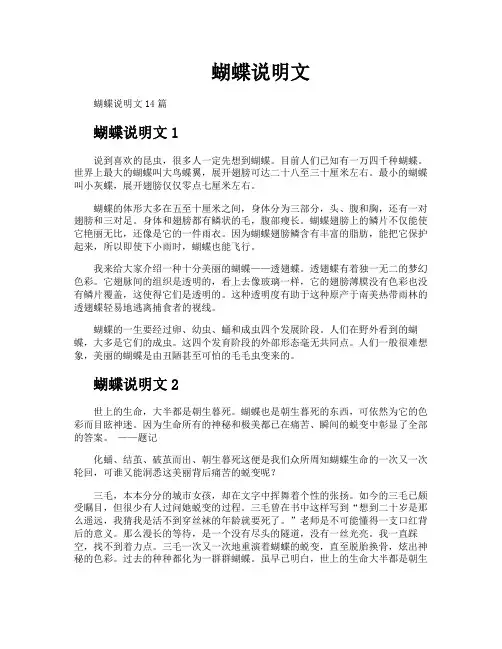 蝴蝶说明文