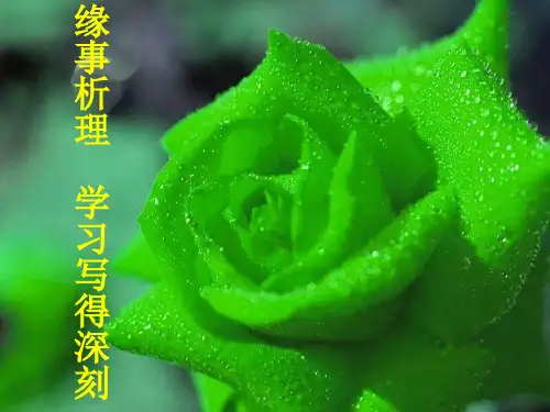缘事析理-讲课实用课件
