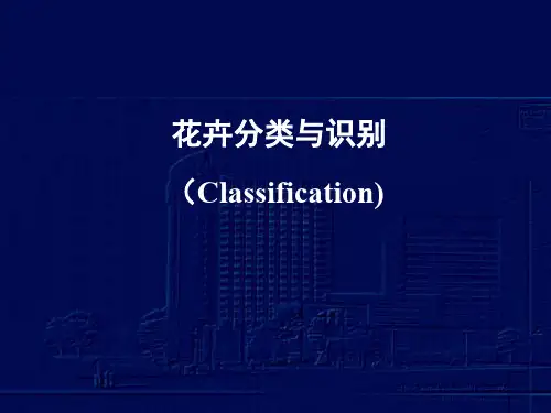 6花卉分类与识别