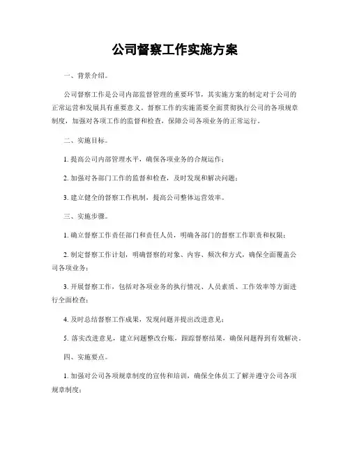 公司督察工作实施方案