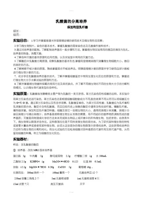 乳酸菌的分离培养
