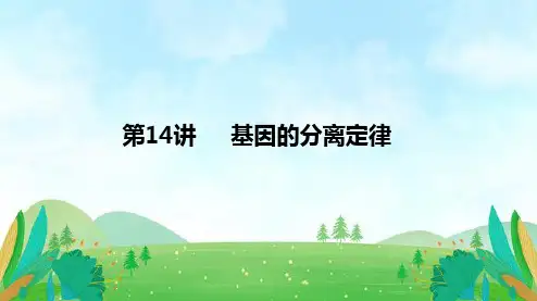 第14讲+基因的分离定律-备战2024年高考生物一轮复习精讲课件(新教材)