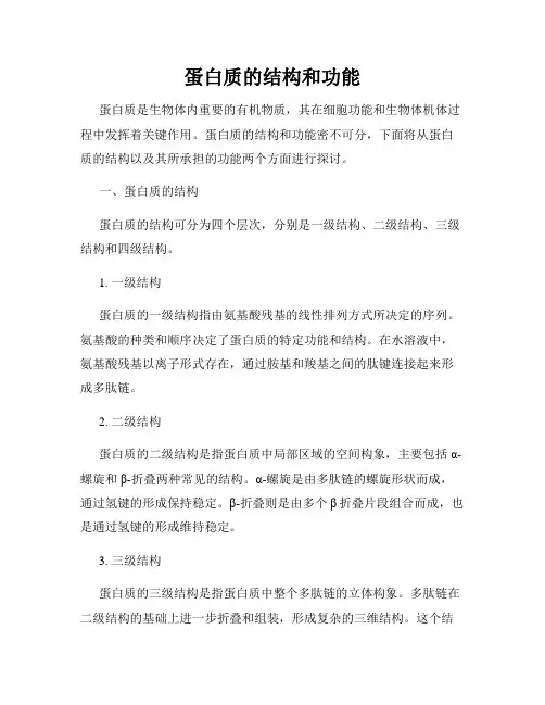 蛋白质的结构和功能