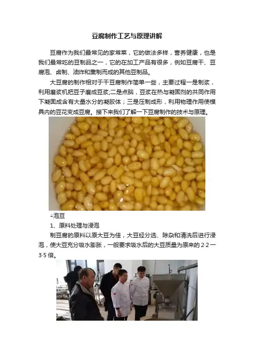 豆腐制作工艺与原理讲解