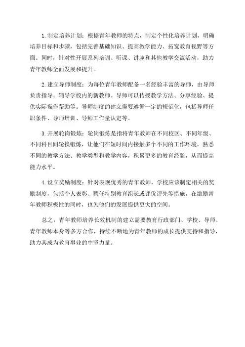 建立青年教师培养的长效机制