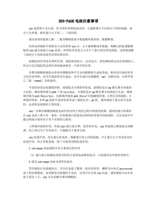 SDS-PAGE电泳注意事项