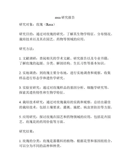 rosa研究报告