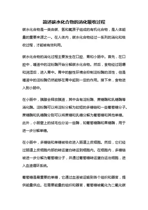 简述碳水化合物的消化吸收过程